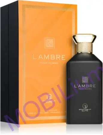 Grandeur L'Ambre parfémovaná voda pánská 100 ml