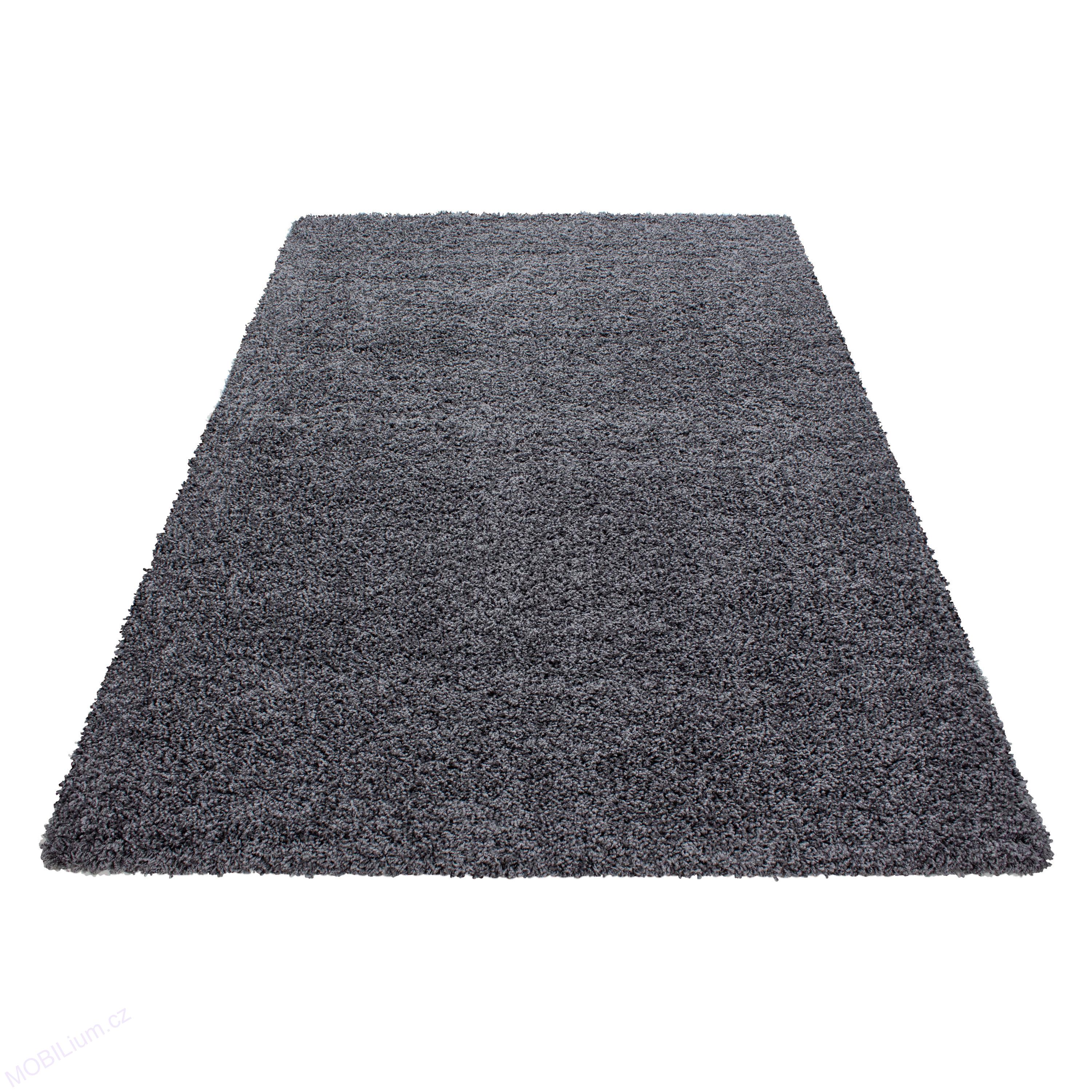 Koberec shaggy Esence 170 x 120 cm gray