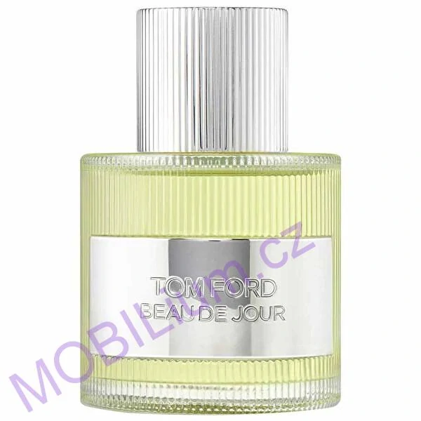Tom Ford Beau de Jour parfémovaná voda pánská 100 ml TESTER