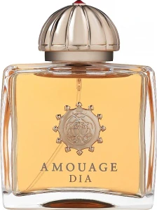 Amouage Dia parfémovaná voda dámská 100 ml